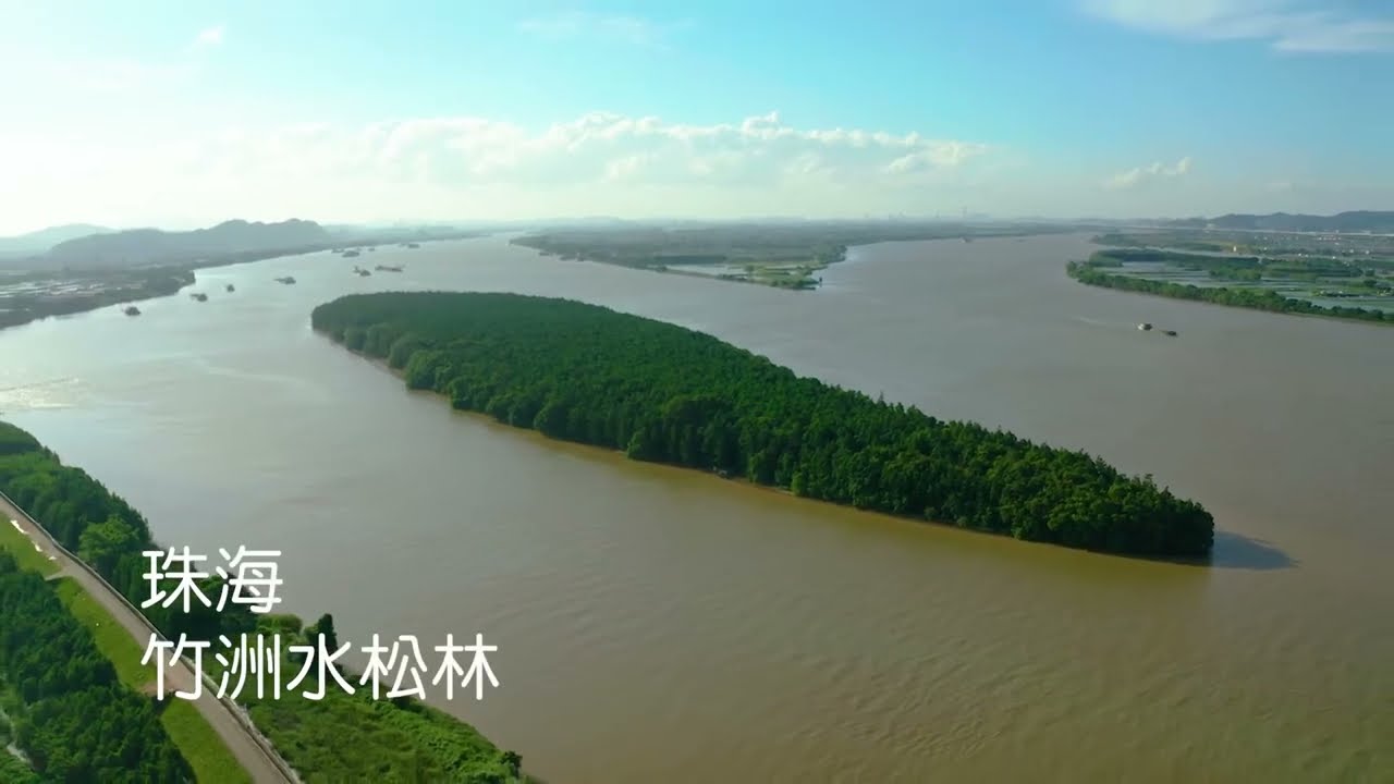 《拾壹城話》世界最大連片水松林  珠海竹洲